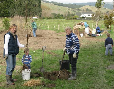 Planting a fruit tree