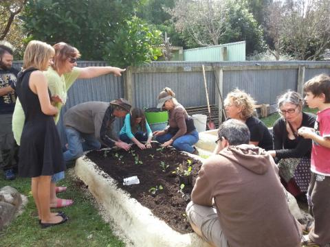 Planting the first veggie bed at the Ashhurst Community Library Garden. Photo thanks to Pat Cronin.