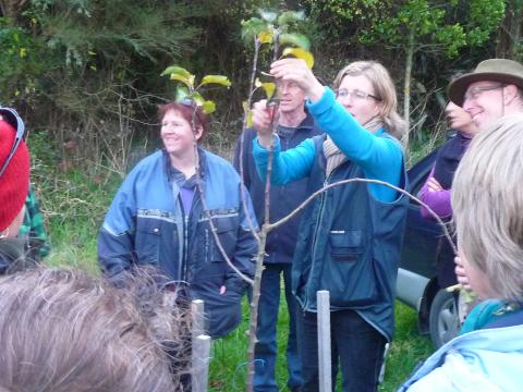 Sarah Frater from Edible Garden demonstrates pruning at the Olsson Orchard